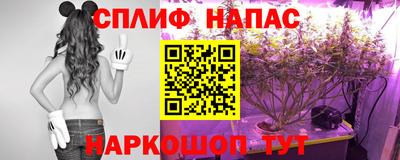 герыч Новокубанск