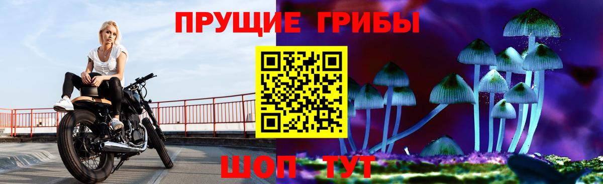 Семилуки  даркнет сайт  Галлюциногенные грибы Cubensis  Вход с VPN  Галлюциногенные грибы Psilocybine cubensis 